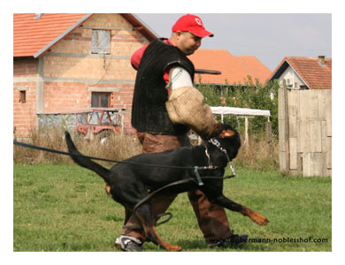 Wotan training