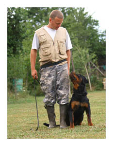 Wotan Training