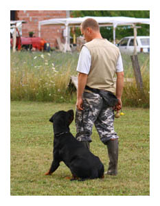 Wotan Training
