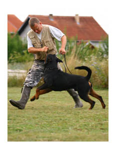 Wotan Training