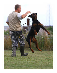 Wotan Training