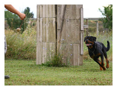 Wotan Training