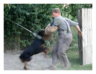 Wotan Training