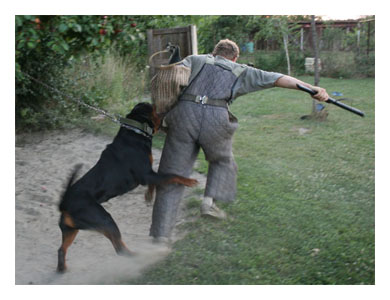 Wotan Training