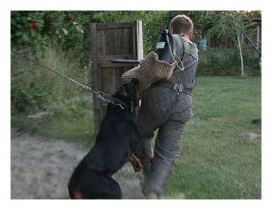 Wotan Training