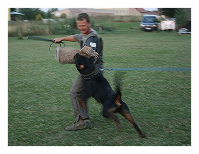 Wotan Training