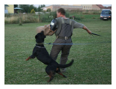 Wotan Training